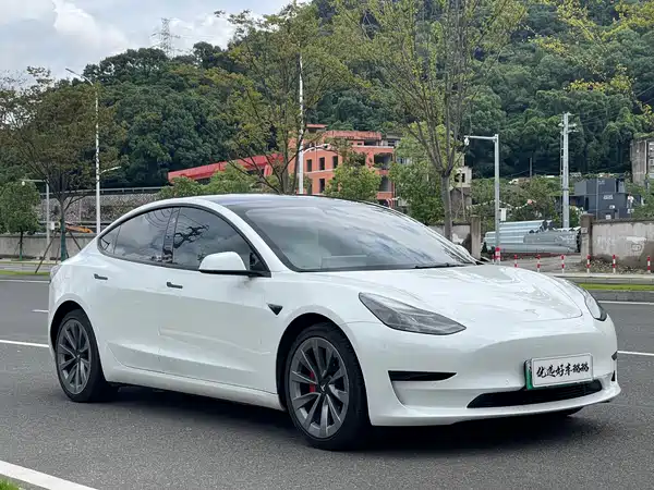 Tesla Model 3 2022
