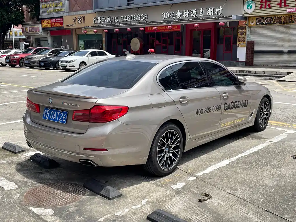 BMW 5 Series 2019