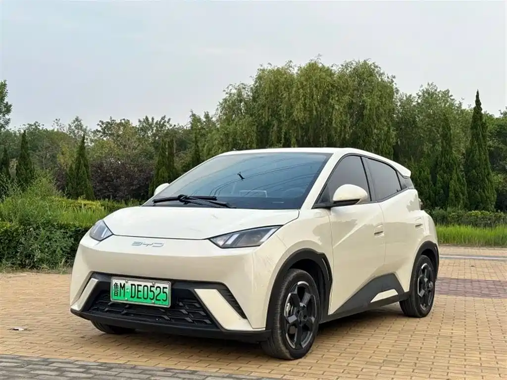 BYD Seagull 2024