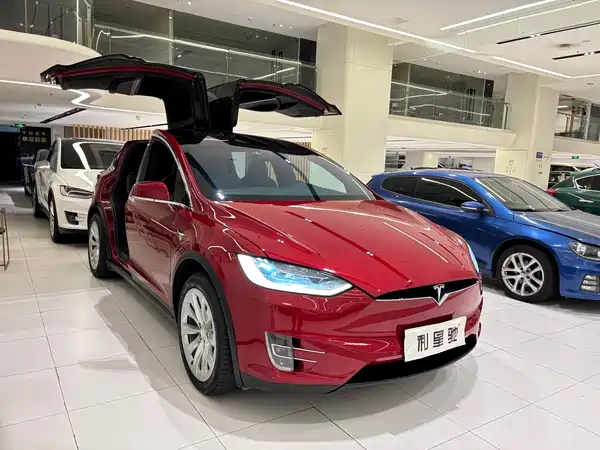 Tesla Model X 2019