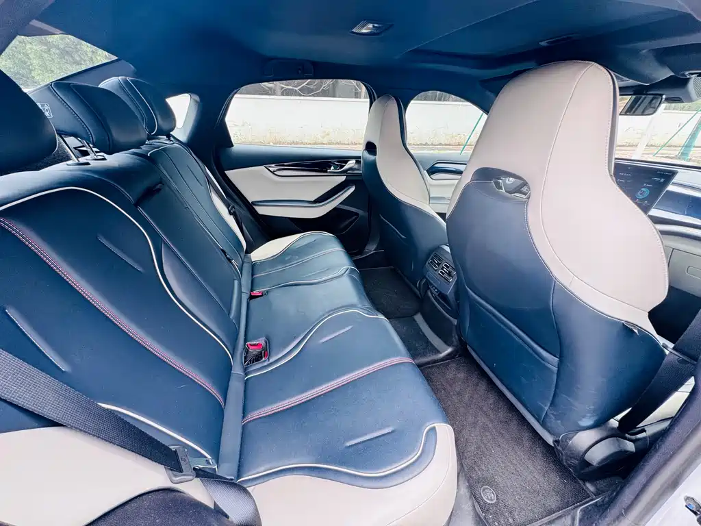 BYD Qin PLUS 2021 — фото 19