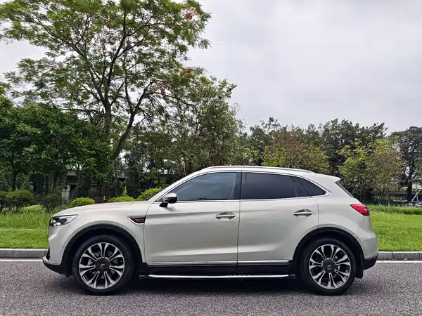 Hongqi HS5 2020