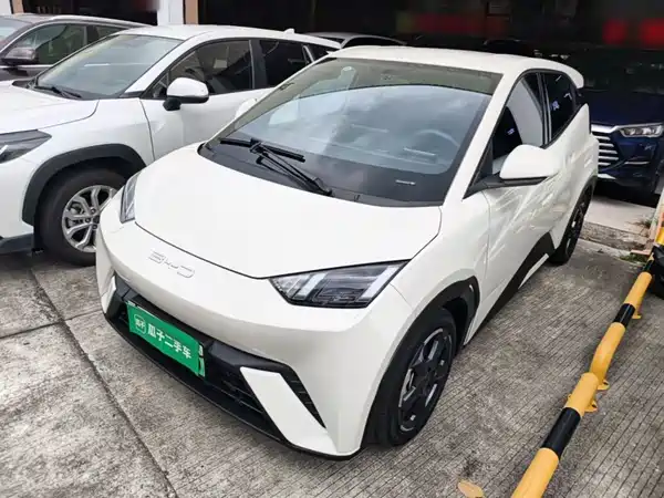 BYD Seagull 2024