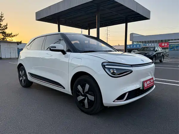 Dongfeng Nano 01 2025