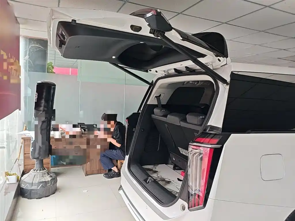 GAC Motor Trumpchi M8 2024 — фото 19