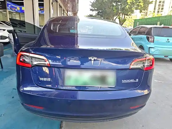 Tesla Model 3 2020