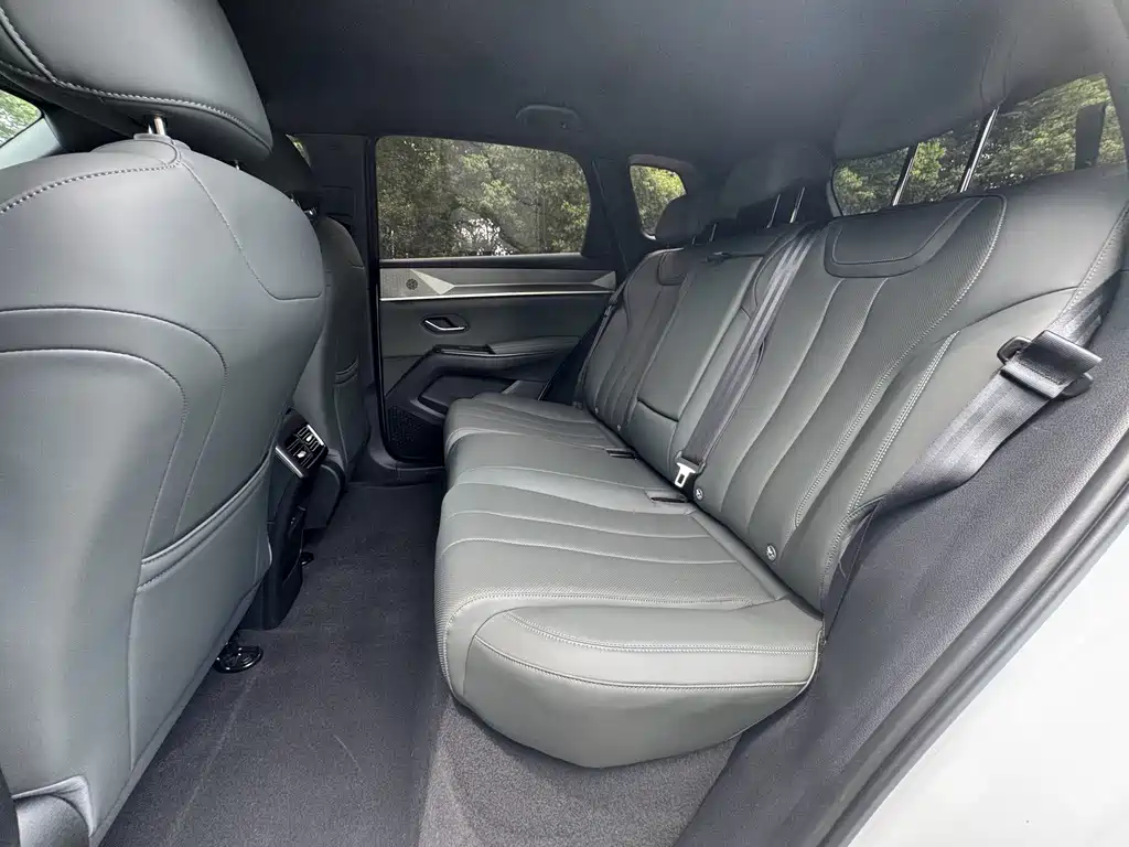 BYD Song Pro New Energy 2025 — фото 6