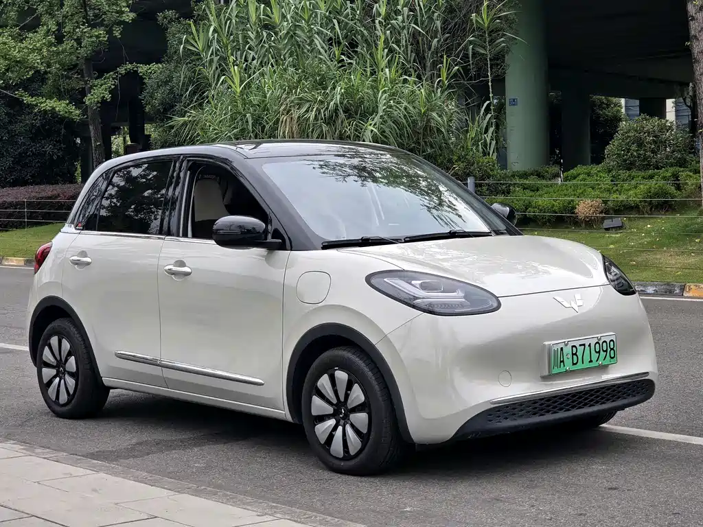 Wuling Bingo 2023