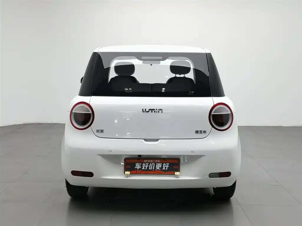 Qiyuan Lumin 2023