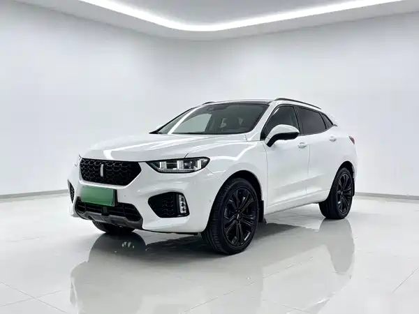 Wey VV5 2019