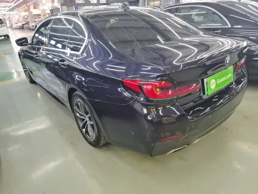 BMW 5 Series New Energy 2021