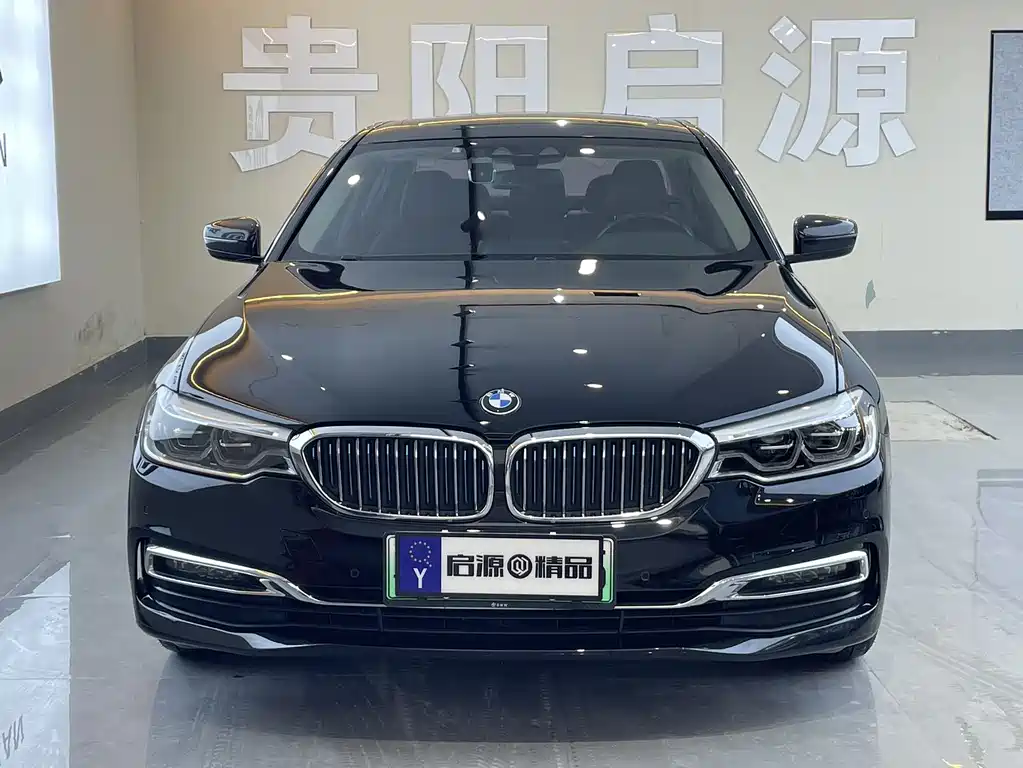 BMW 5 Series New Energy 2019