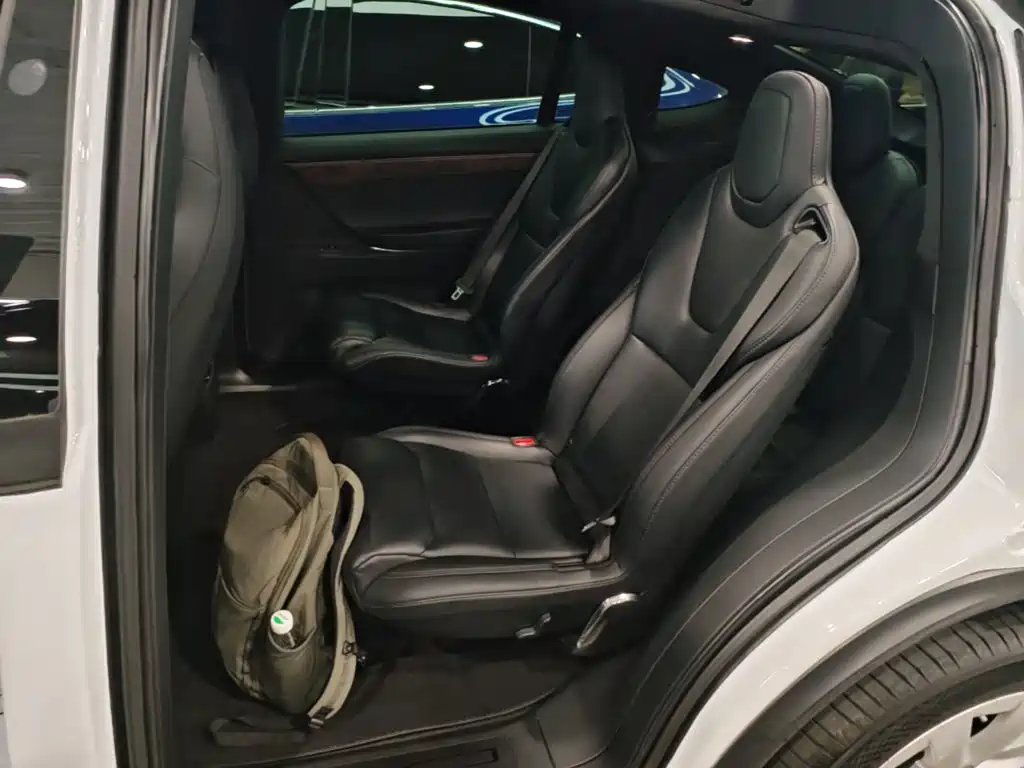Tesla Model X 2019 — фото 13