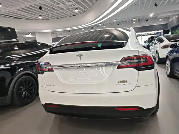 Tesla Model X 2019