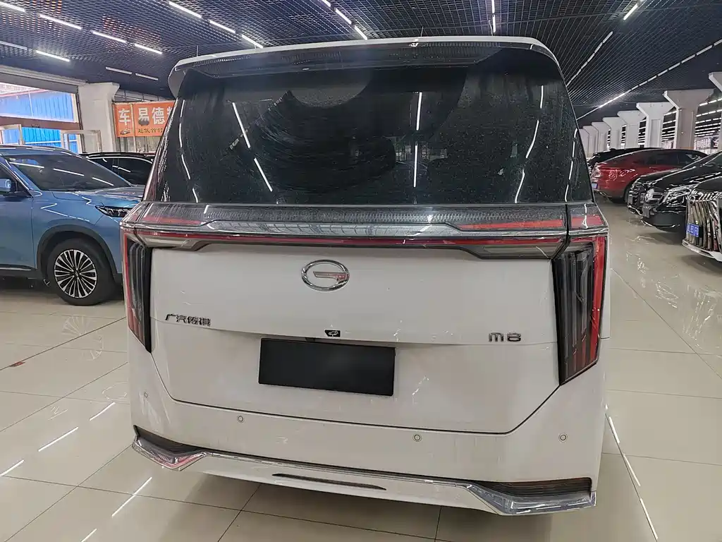 GAC Motor Trumpchi M8 2024 — фото 4