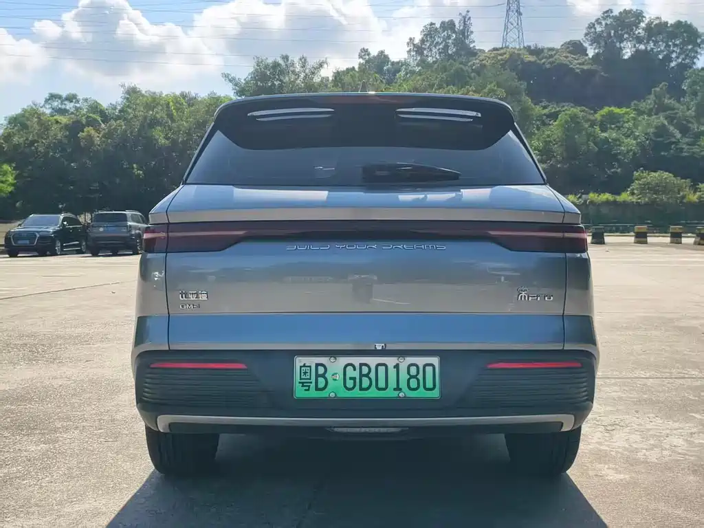 BYD Pro New Energy 2023 — фото 10
