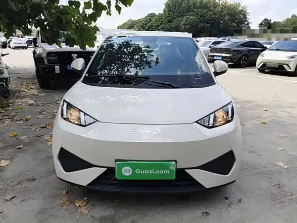 BYD Seagull 2026