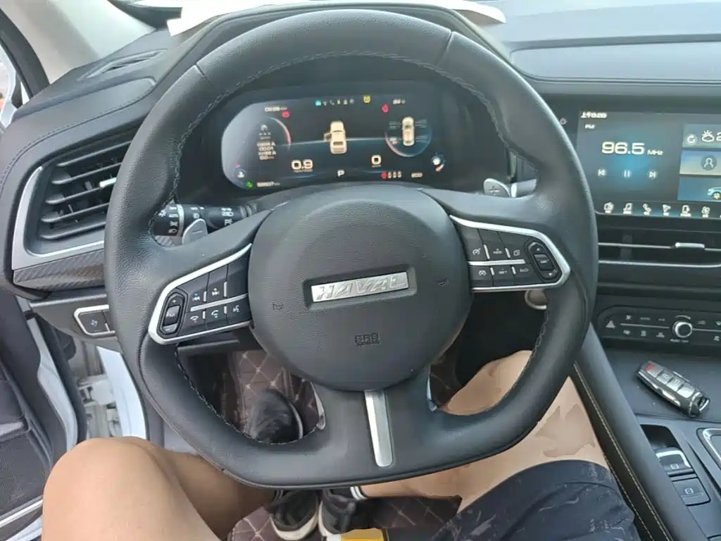 Haval F7x 2020 — фото 11
