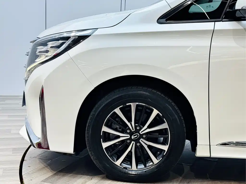 GAC Motor Trumpchi M8 2021 — фото 16