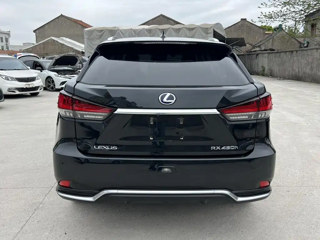 Lexus RX 2020 — фото 14