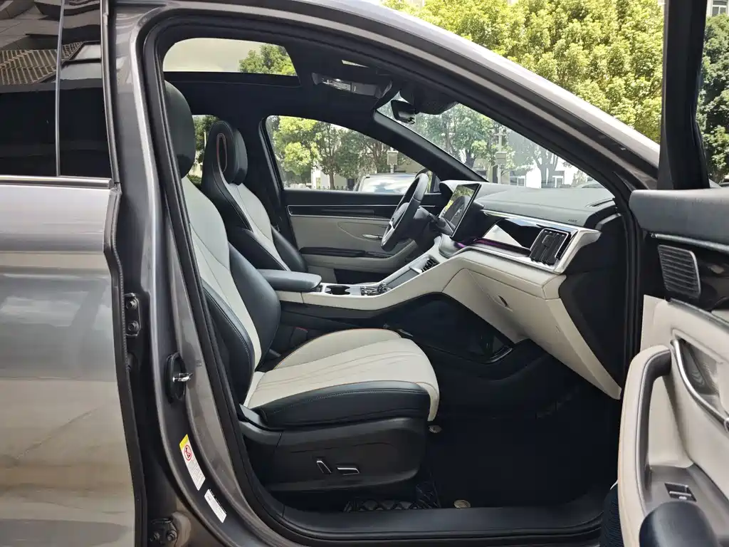 BYD Song PLUS New Energy 2024 — фото 7