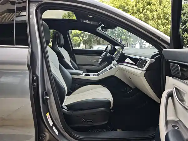 BYD Song PLUS New Energy 2024