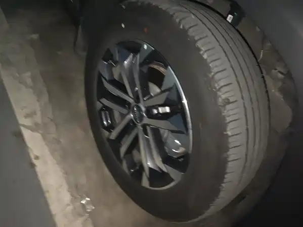 Haval Dog PLUS 2025