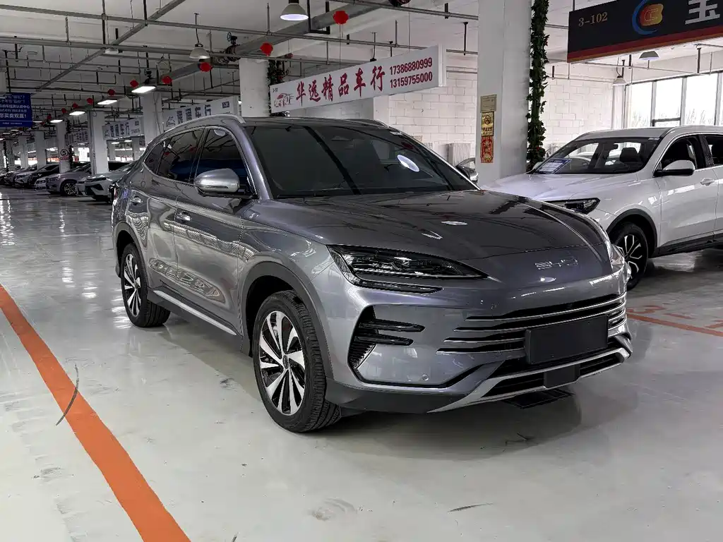 BYD PLUS New Energy 2024 — фото 3