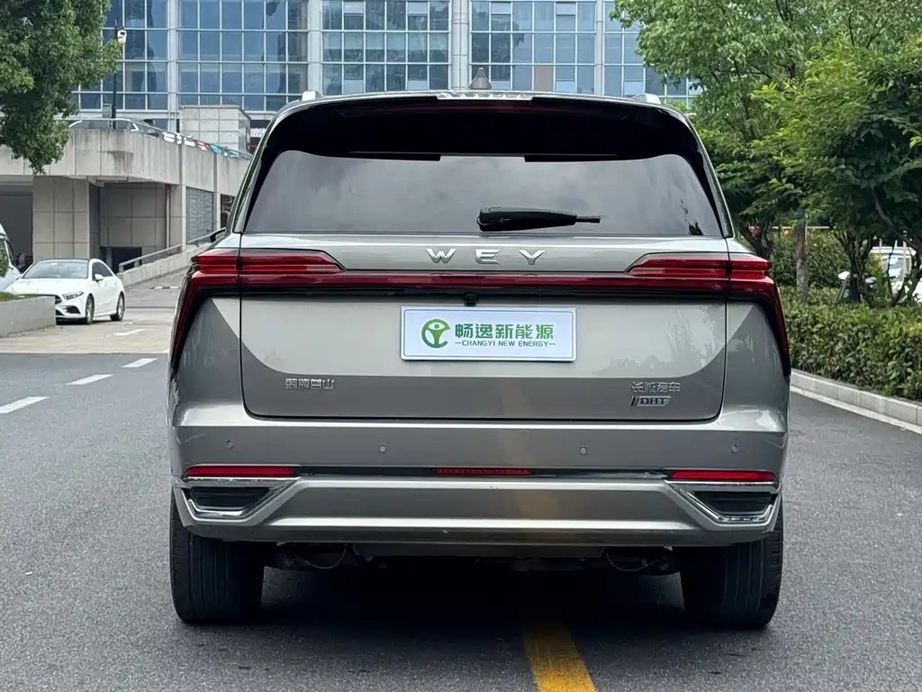 Wey Lanshan 2024