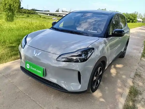 Wuling Bingo PLUS 2024