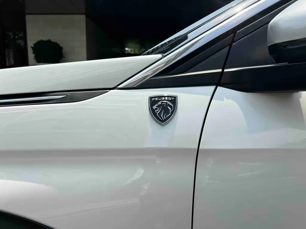 Peugeot 5008 2024 — фото 35