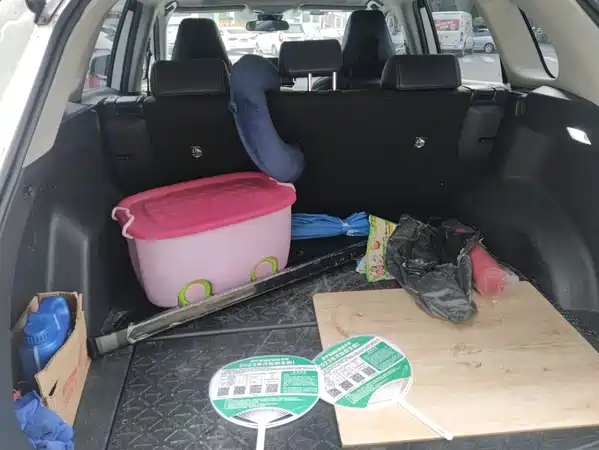 Toyota Wildlander 2021