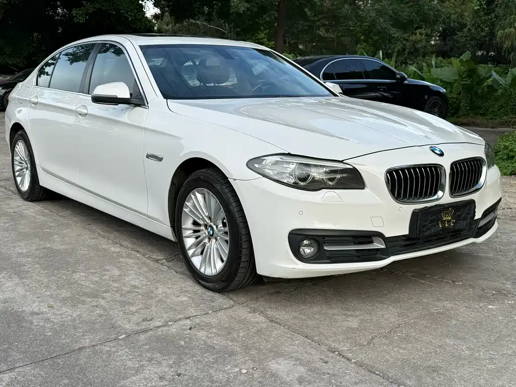 BMW 5 Series 2014 — фото 3