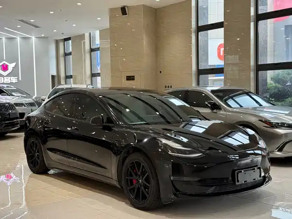 Tesla Model 3 2019
