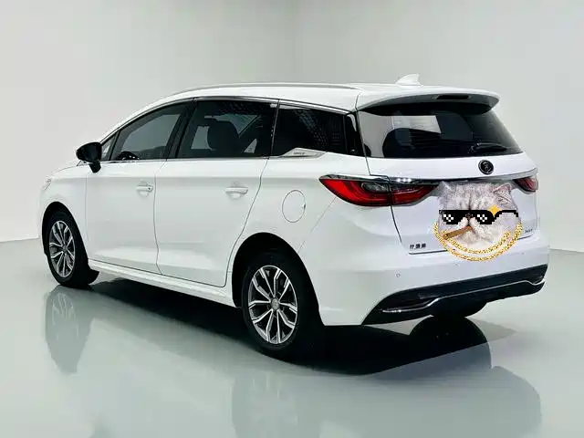 BYD Song MAX 2020 — фото 15