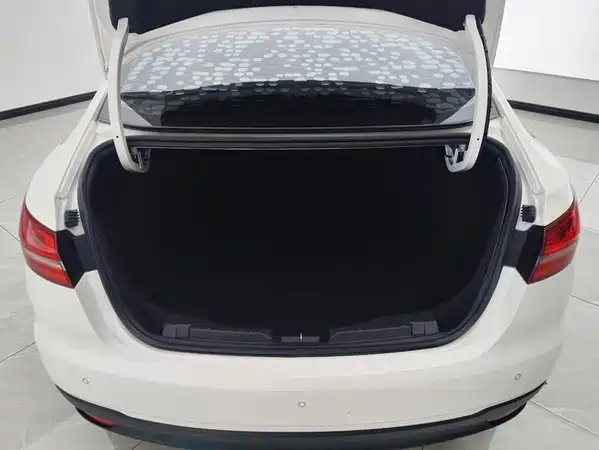 Ford Escort 2019
