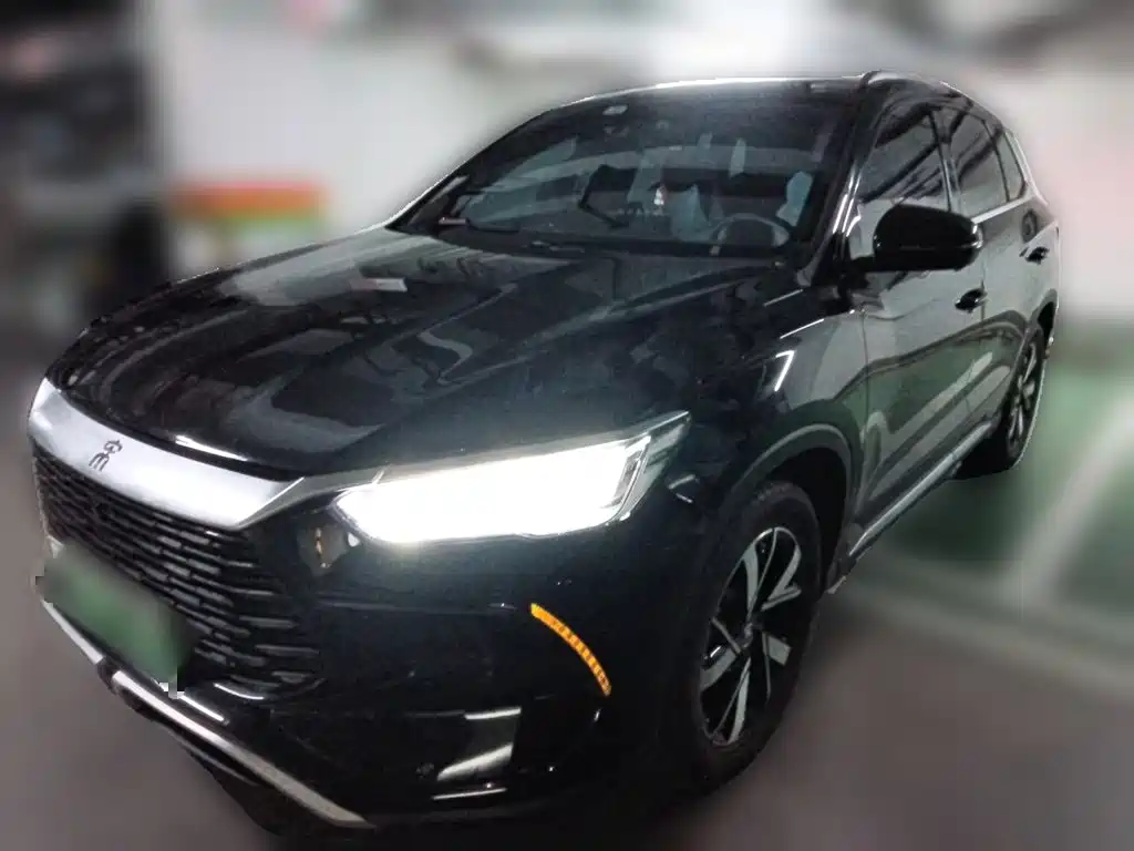 BYD Song Pro New Energy 2024 — фото 1