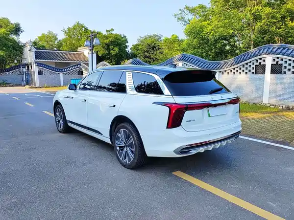 Hongqi E-HS9 2021