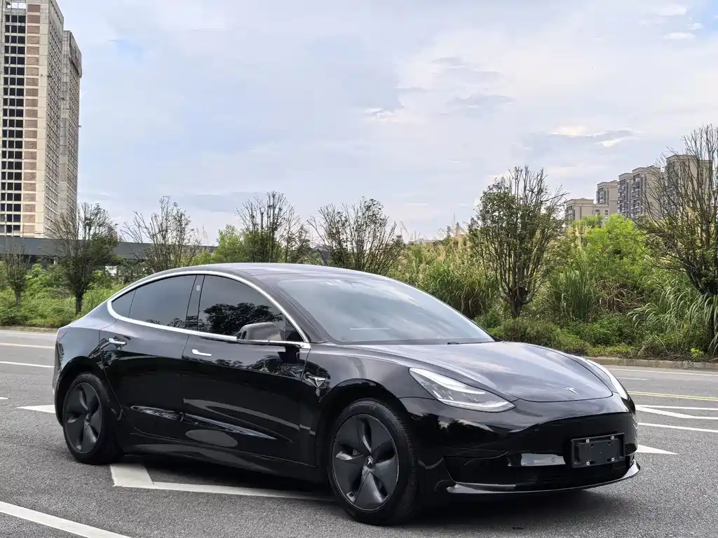 Tesla Model 3 2020 — фото 3