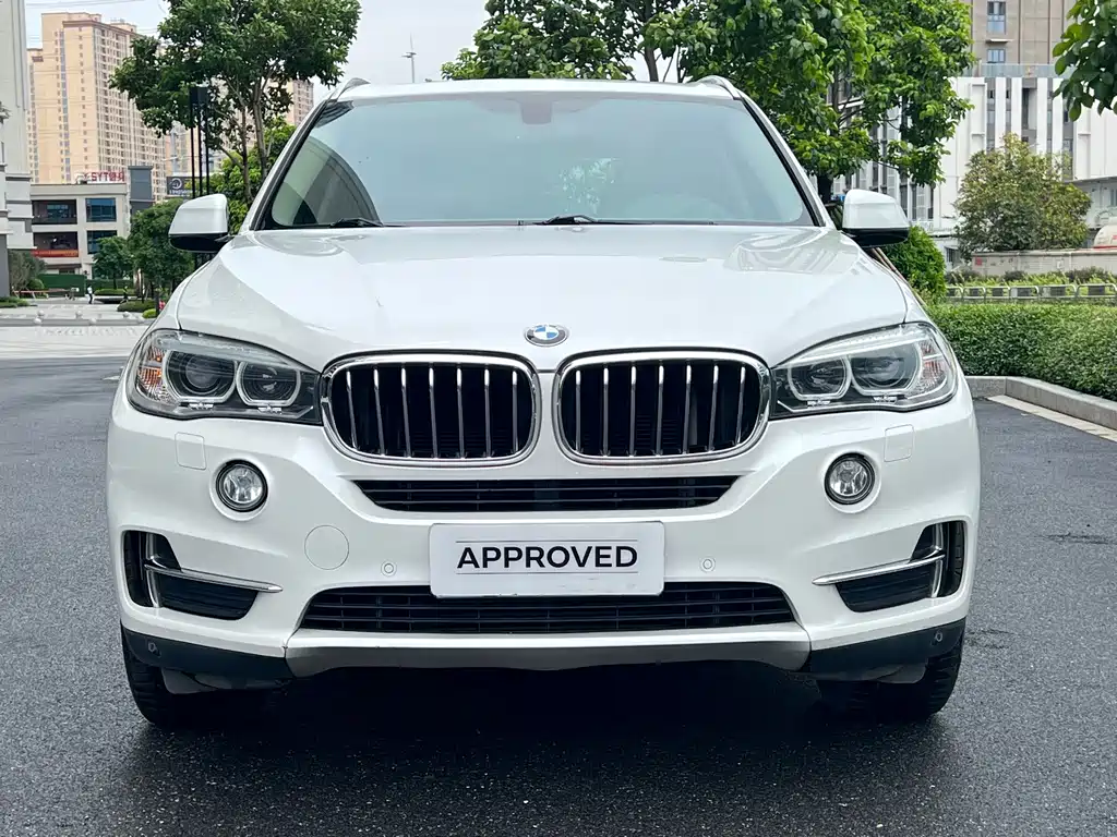 BMW X5 2017 — фото 2