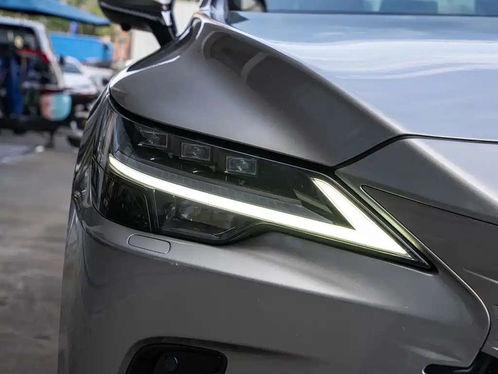 Lexus RX New Energy 2024 — фото 6