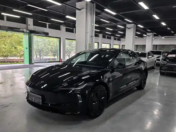 Tesla Model 3 2025