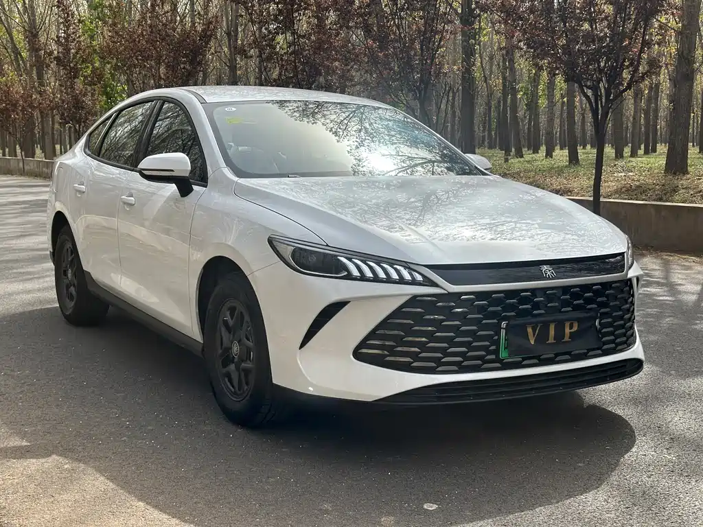 BYD Qin PLUS 2025 — фото 2