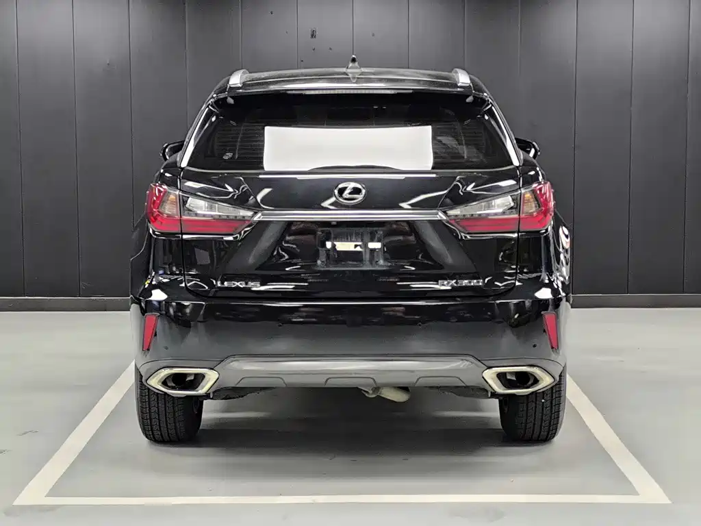 Lexus RX 2019 — фото 15