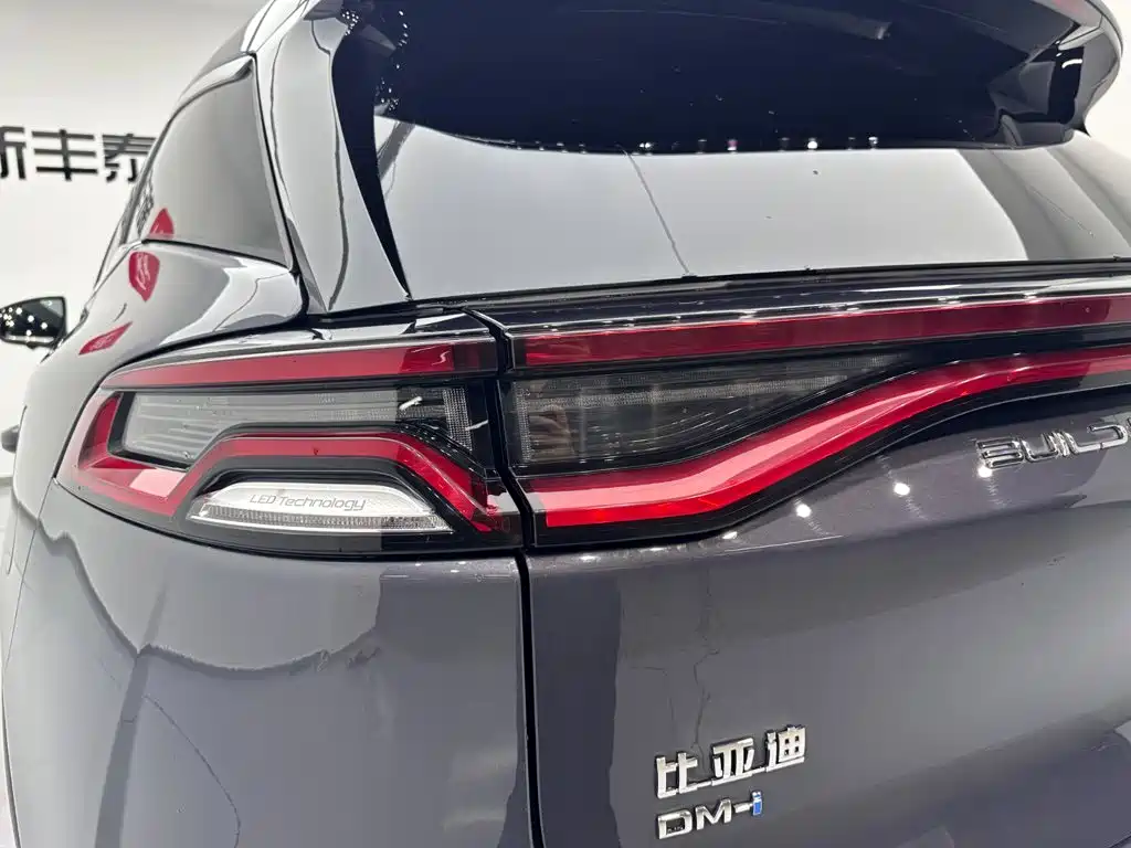BYD Tang New Energy 2022 — фото 28