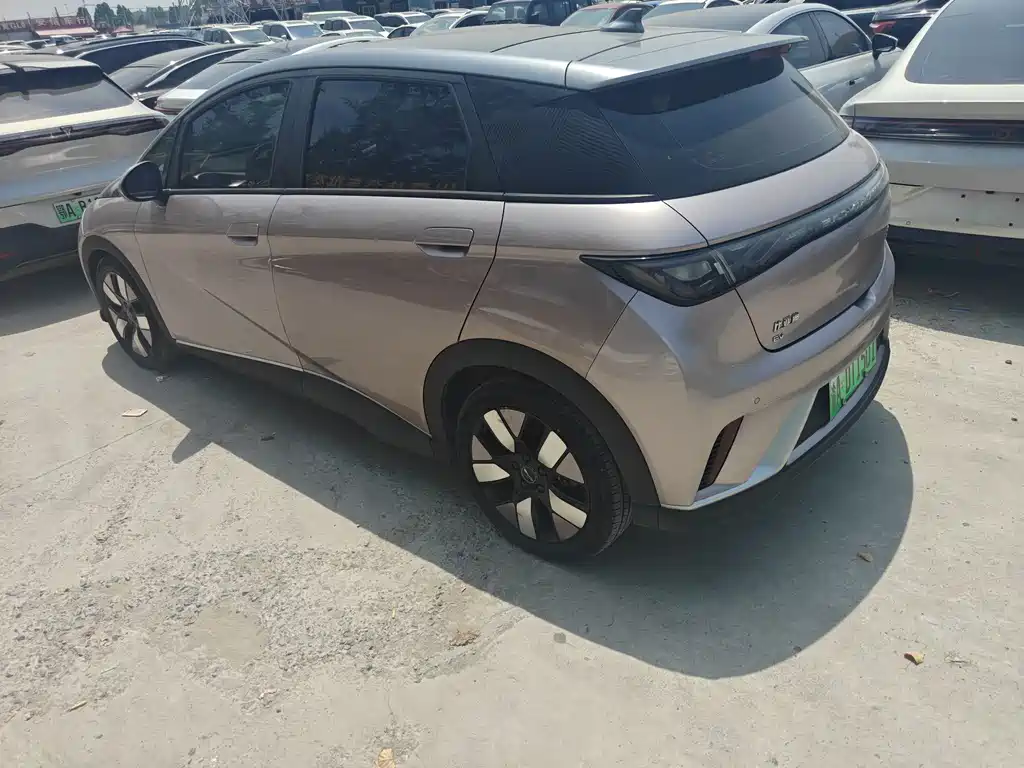 BYD Dolphin 2021