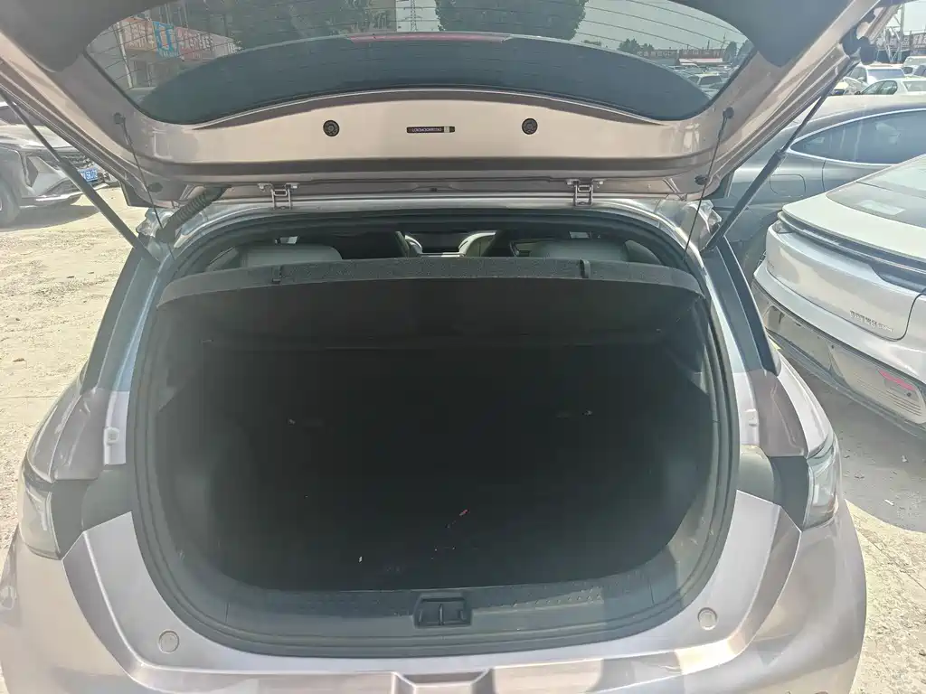 BYD Dolphin 2021