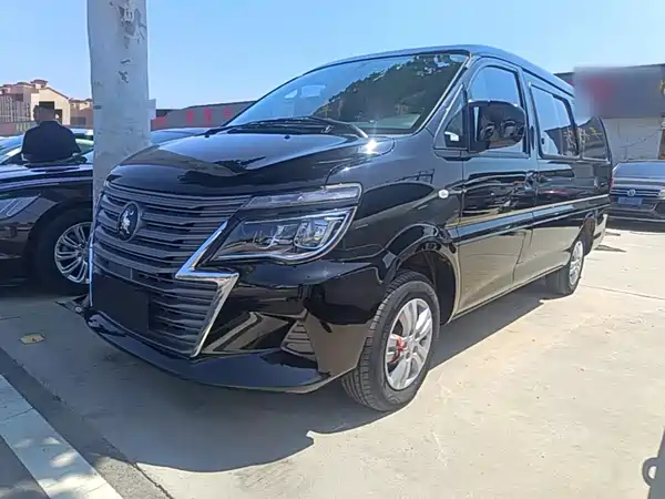 Dongfeng Lingzhi 2023