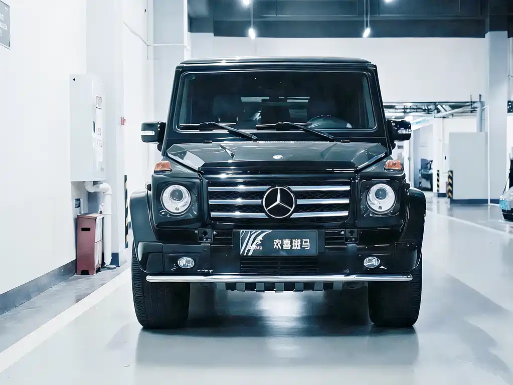 Mercedes-Benz G-Class AMG 2011 — фото 2