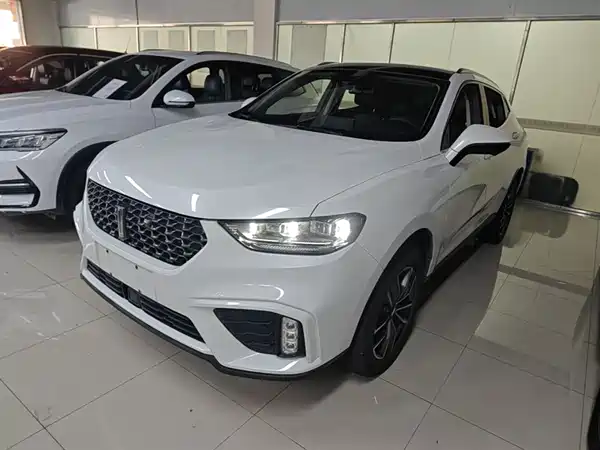 Wey VV5 2020